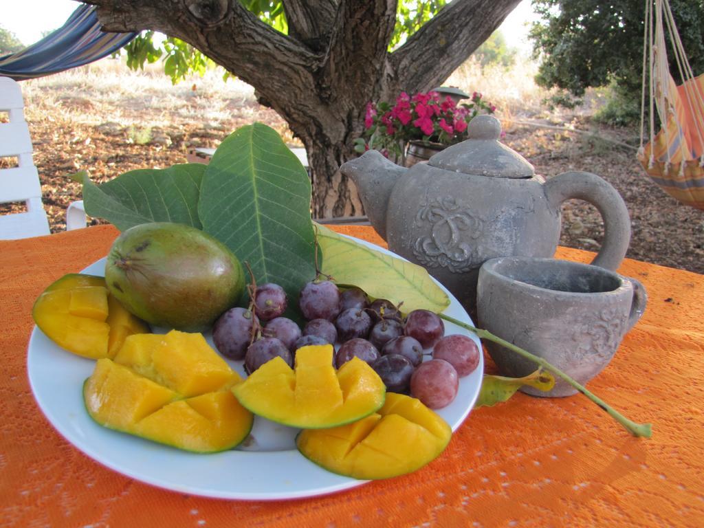 Гостьовий будинок Beit Shapira Kefar Shammay Екстер'єр фото